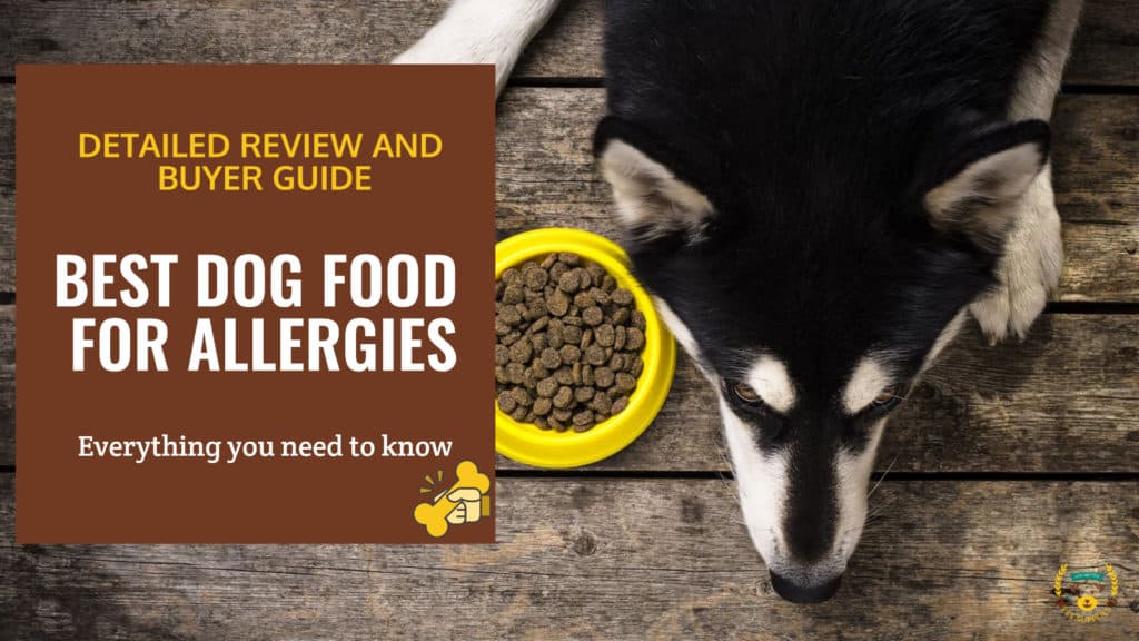 Top 10 Best Dog Food For Allergies [2022 Expert Reviews]