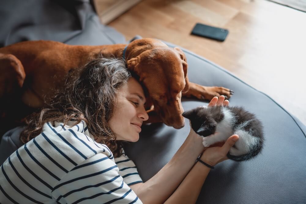Pet Surgery Center of Fort Lauderdale Top Rated Fort Lauderdale Veterinarians