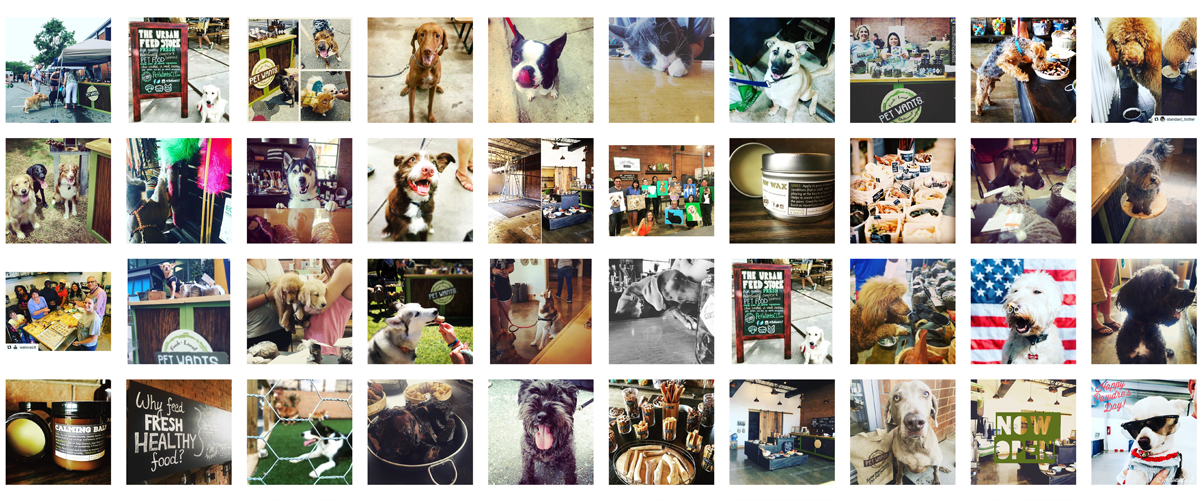 We are hiring! Pet Wants Charlotte