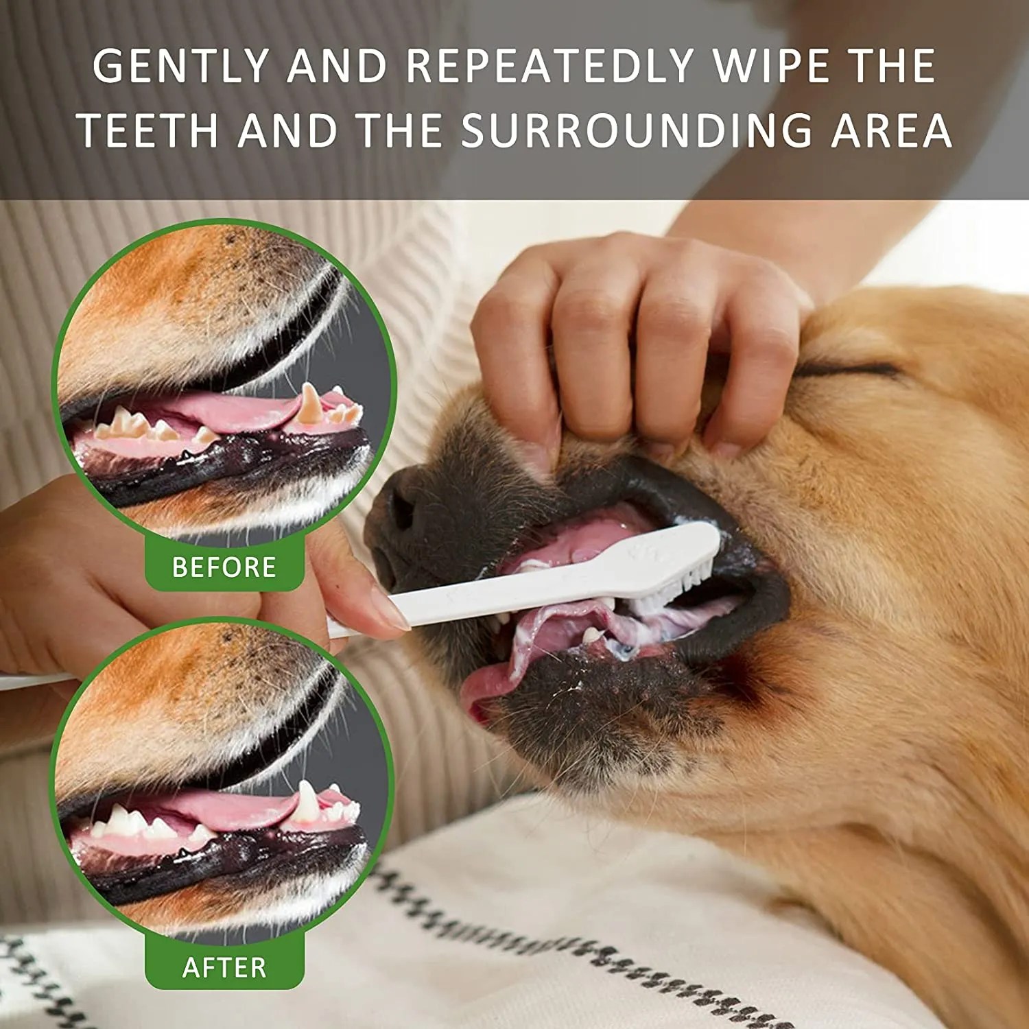 Is Bioline Dog Toothpaste Safe For Your Furry Friends Oral Health?