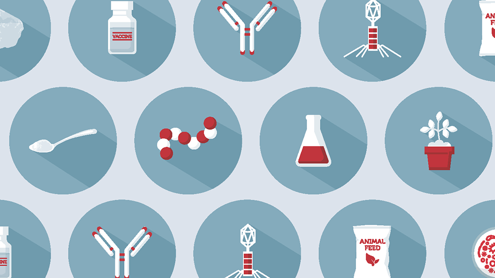 Alternatives to Antibiotics in Animal Agriculture
