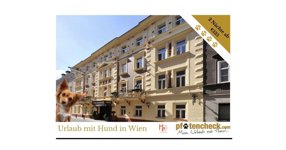 Wien mit Hund im Hotel Praterstern Angebot ganzjährig buchbar