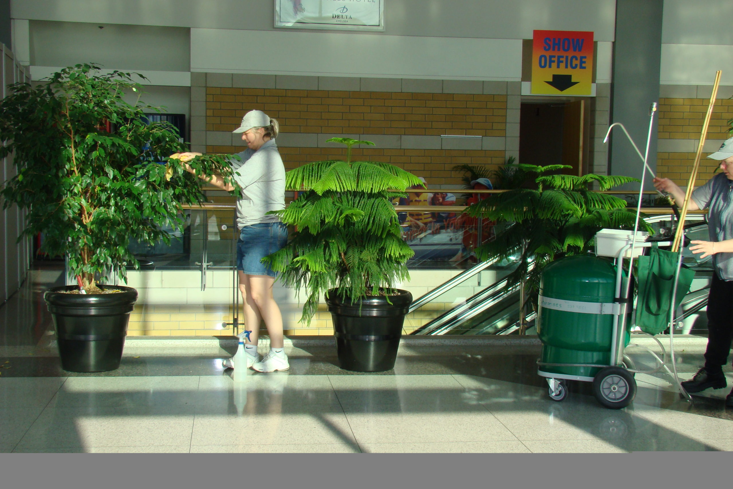 interior Parkdale Green Thumb Enterprises Landscaping