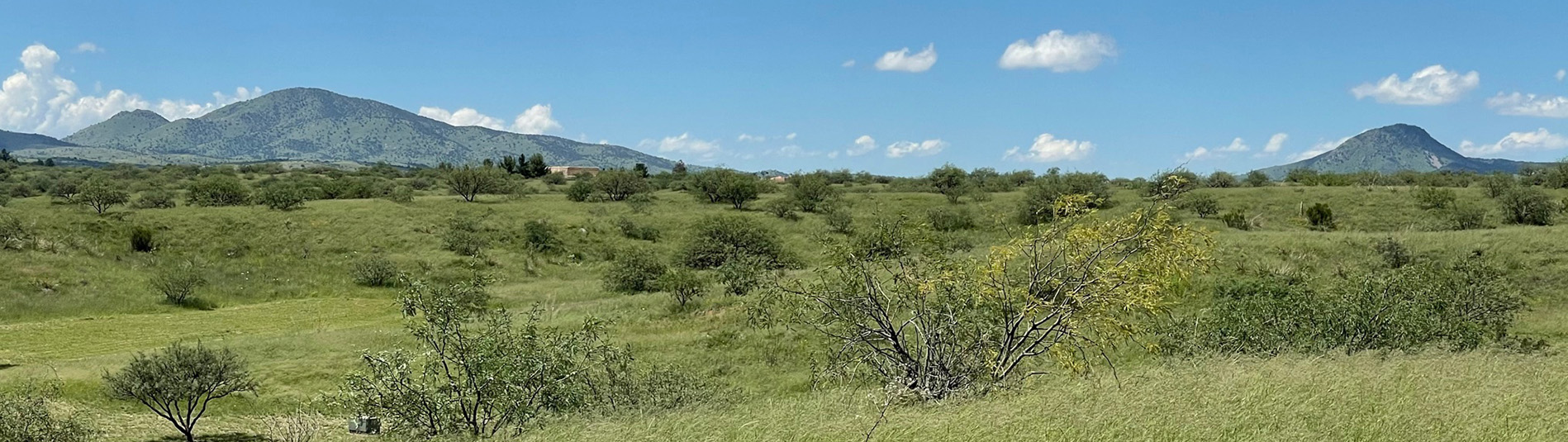 Sonoita Realty