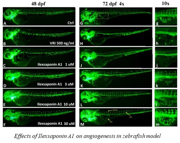 Research image