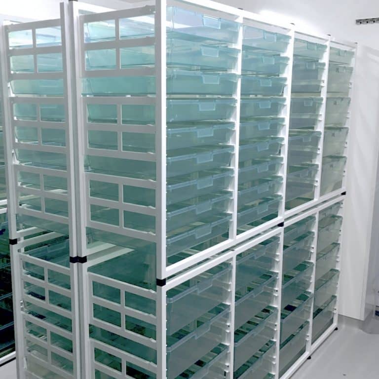 Medical Storage Racking Denward