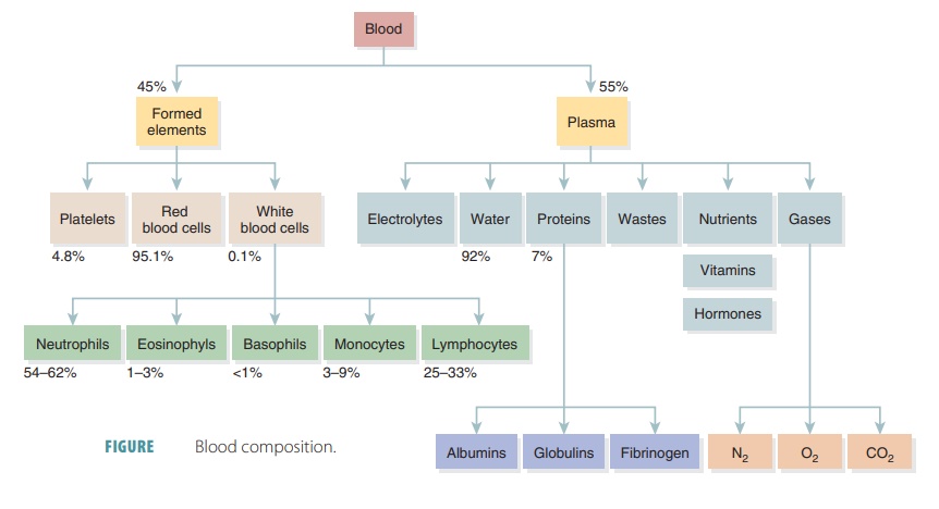 Blood Components