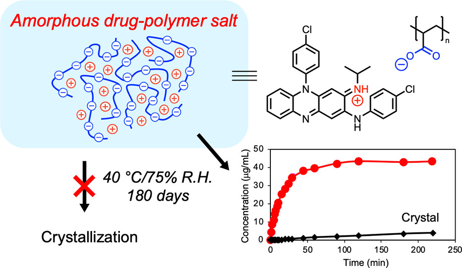 Amorphous DrugPolymer Salt with High Stability under Tropical