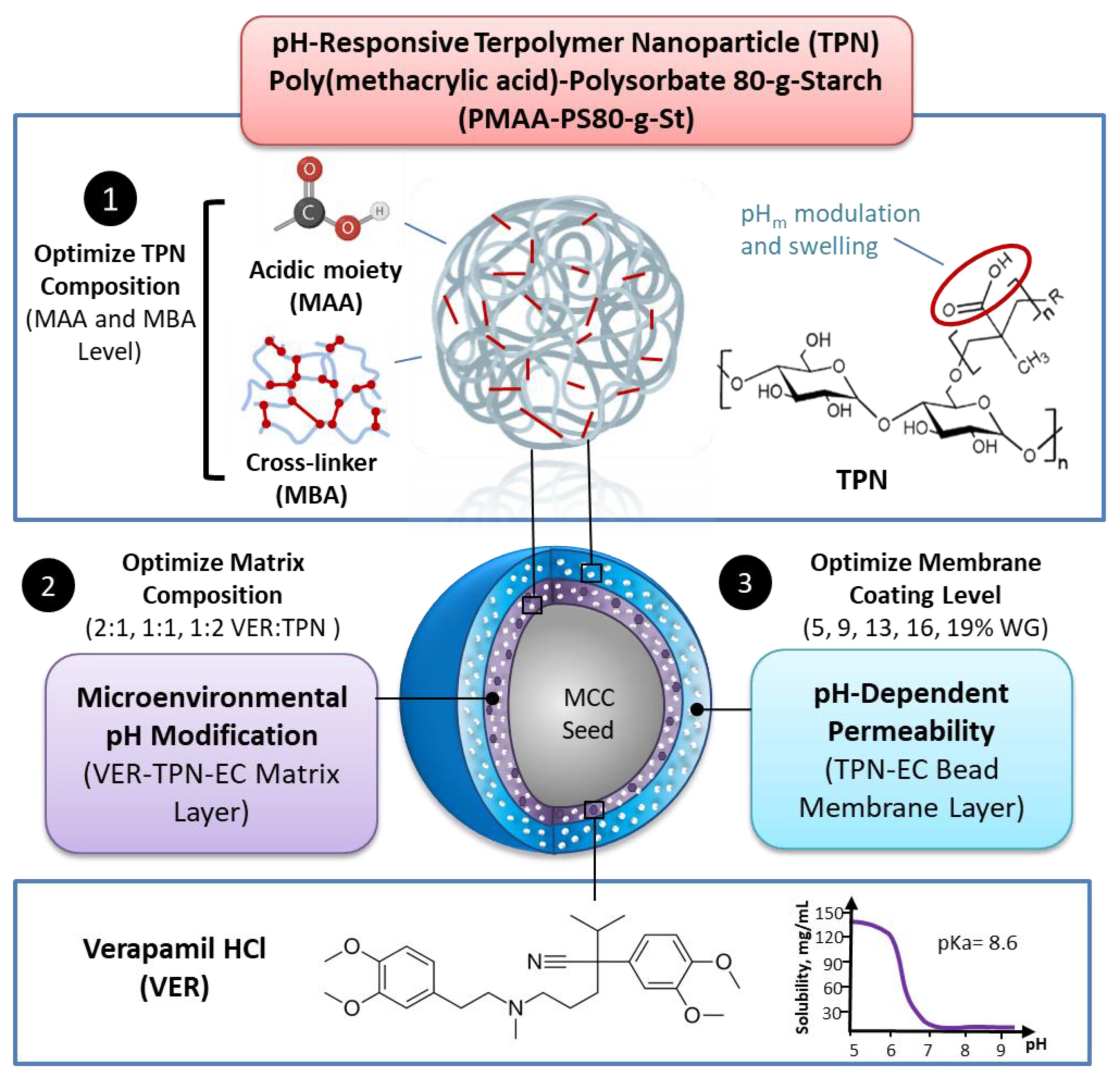 Design and Optimization of a Nanoparticulate Pore Former as a