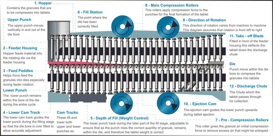 Tablet Press: Types, functional parts, how it works, advantages..