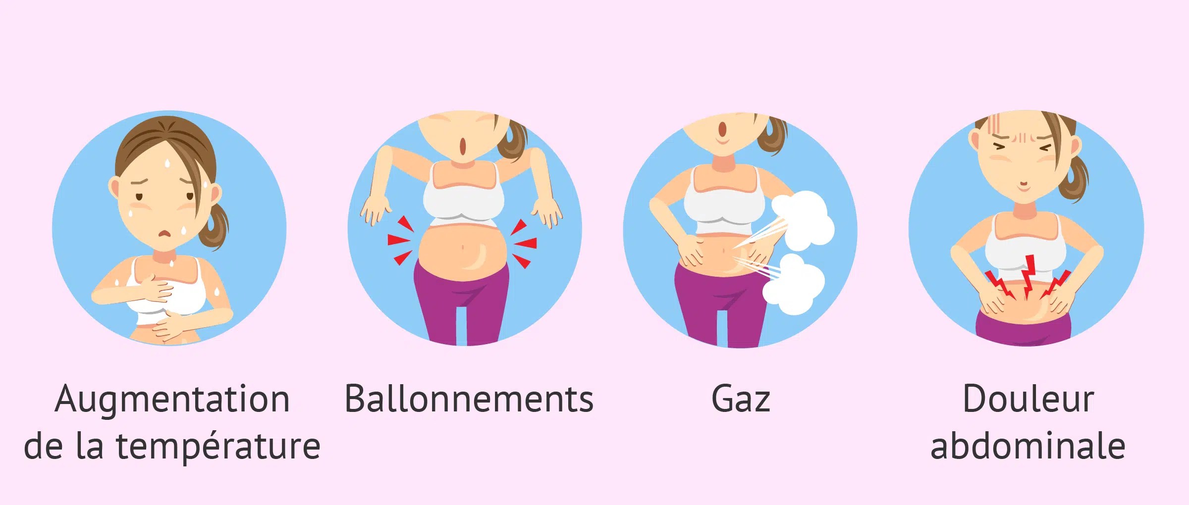 Quand a lieu l'ovulation après une fausse couche ? Pharmidea