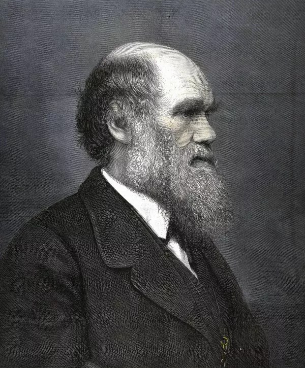 Curated News, Gossip, Concert Reviews, Fearless Political