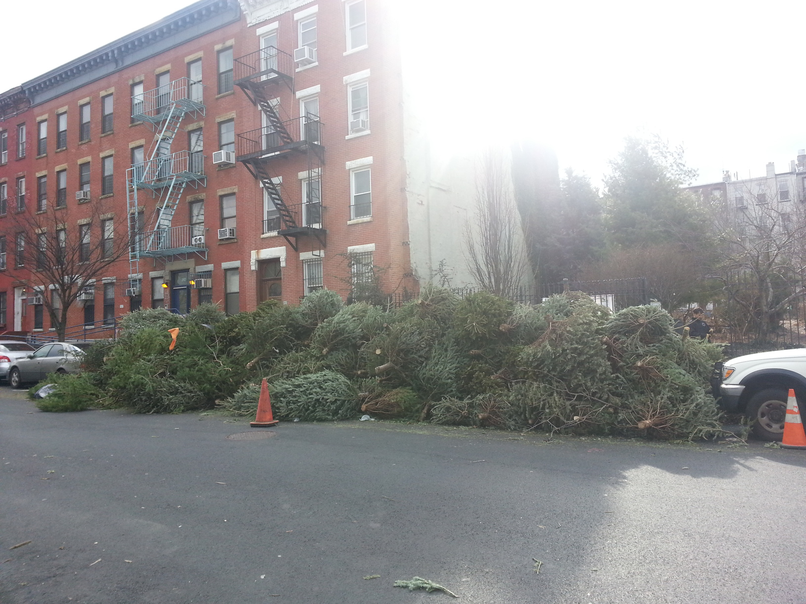 Mulch your Christmas tree at MulchFest! Prospect Heights Community Farm