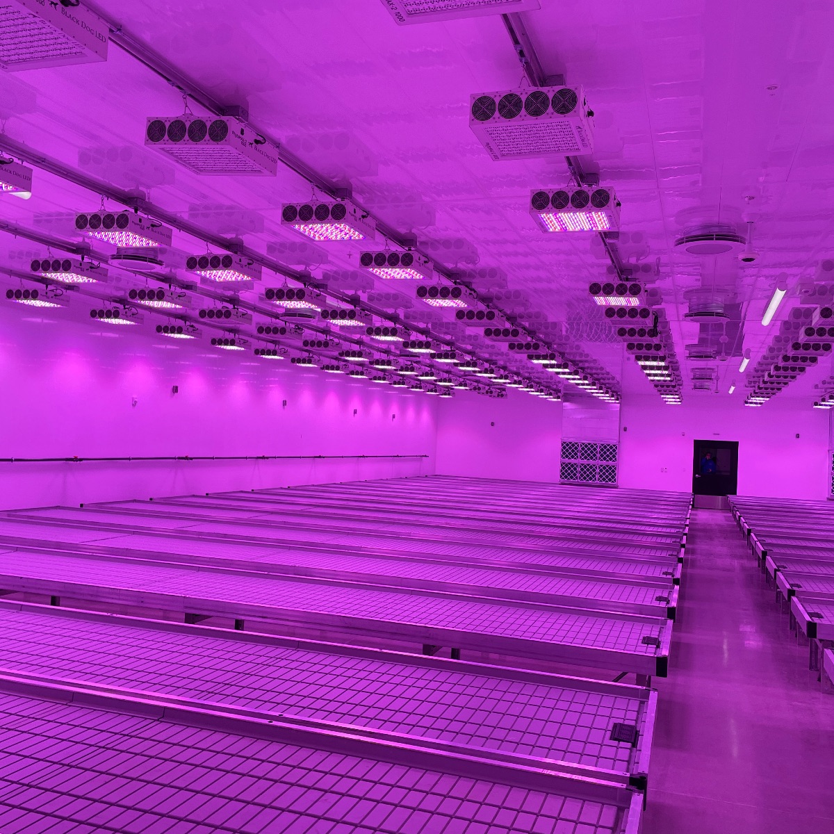 Cannabis Grow Facility Design 101, Part 1 phcppros