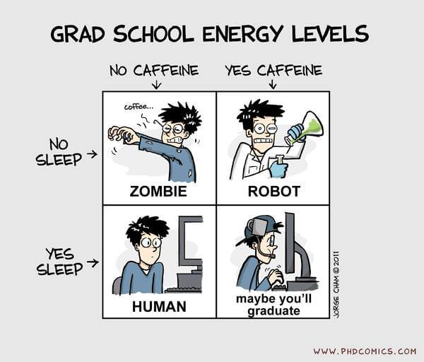 The Best Coffee for Graduate Students PhDStudent