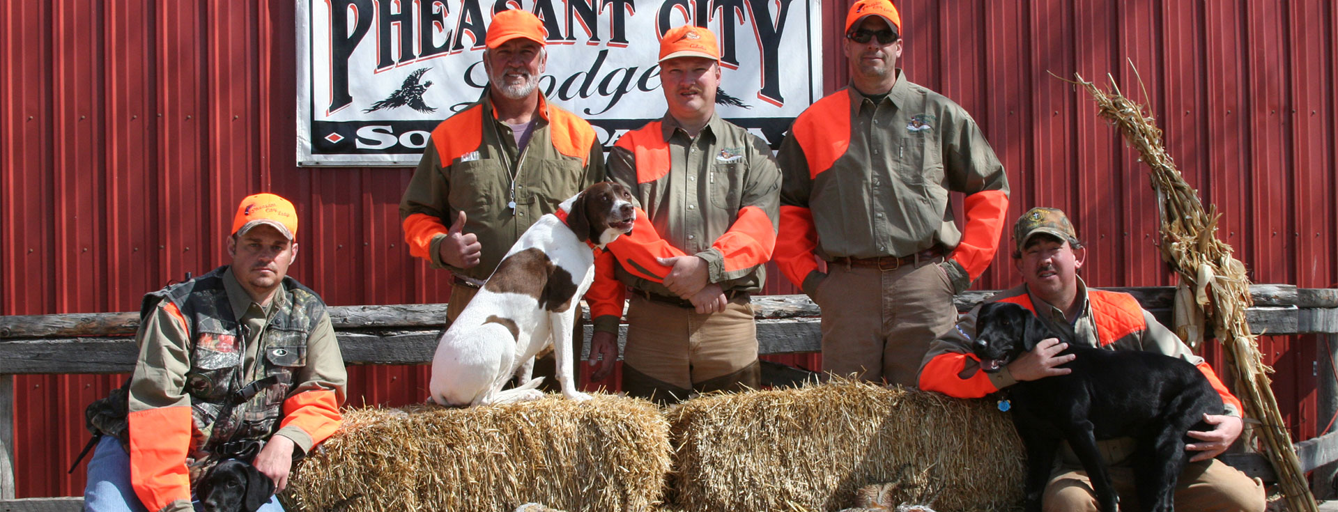 Guided Pheasant Hunts South Dakota Affordable Pheasant Hunts