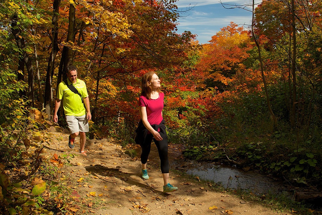 Home Phelps Chamber of Commerce