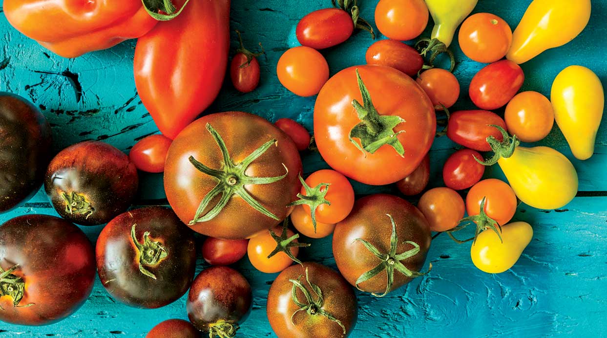 How to Grow the Best Tomatoes in Arizona Phoenix Home & Garden