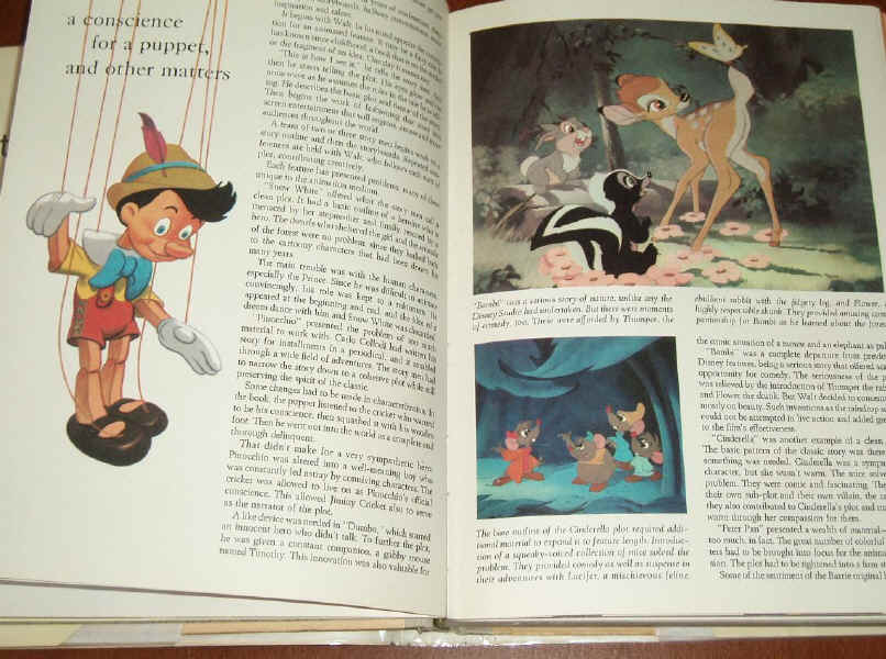 Art of Animation Book