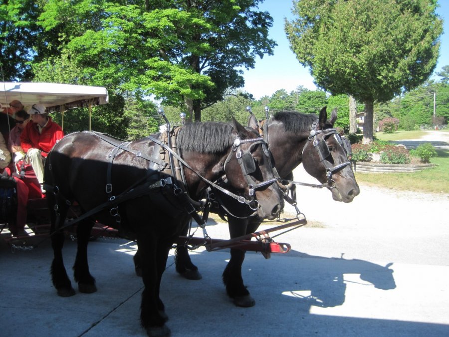 soo locks schedule 2023 Mackinac Island Philipps Bus Service, Inc.