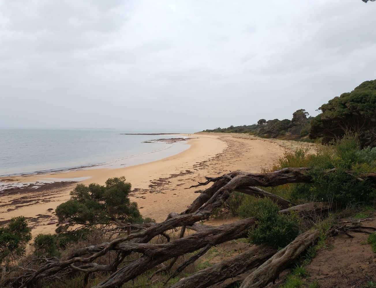 Red Rocks Beach Fishing, Houses & Retreats Phillip Island, Victoria