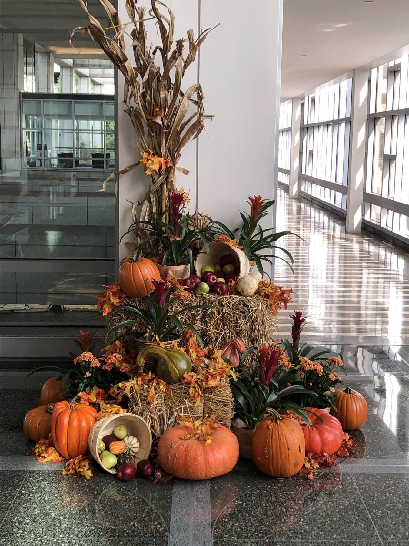 Fall Decor for the Home or Office Phillip's Interior Plants & Displays