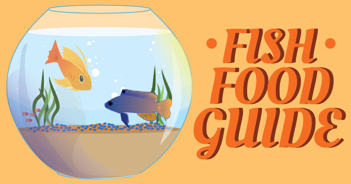 Fish Food Guide Phillips Pet Food & Supplies