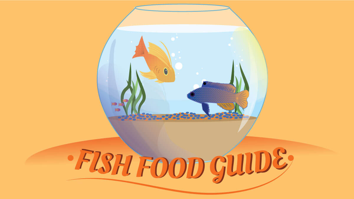 Fish Food guide Phillips Pet Food & Supplies