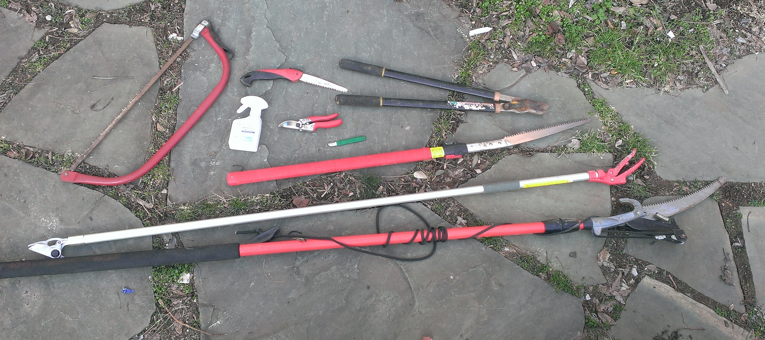 POP pruning tools available at West Philly Tool Library! Google Groups