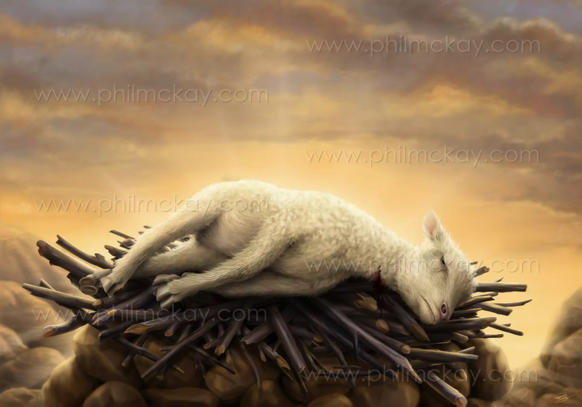 Sacrificial Lamb Phil McKay