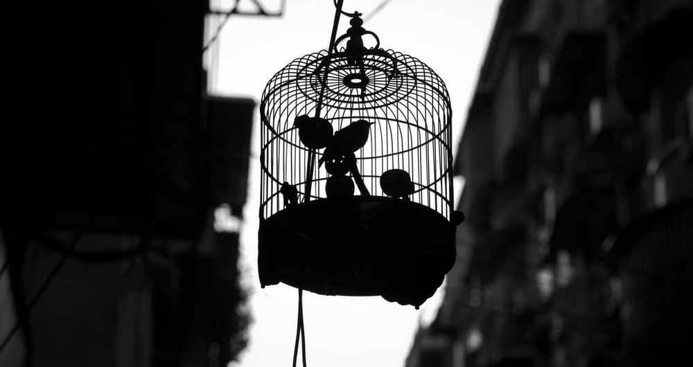 L Amour Amitie Profondeur Et Sincerite Philovie
