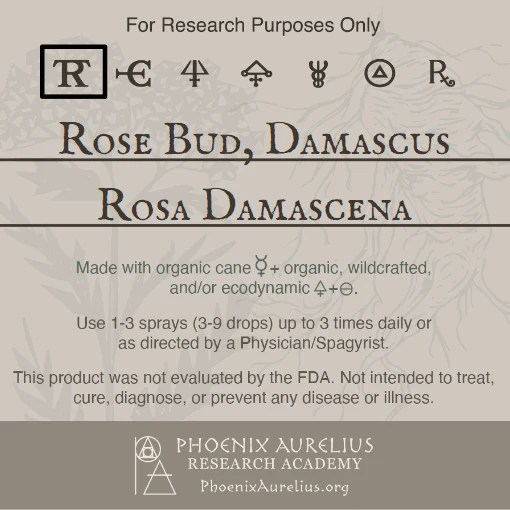 Rose Bud, Damascus, Spagyric Tincture Phoenix Aurelius Research Academy