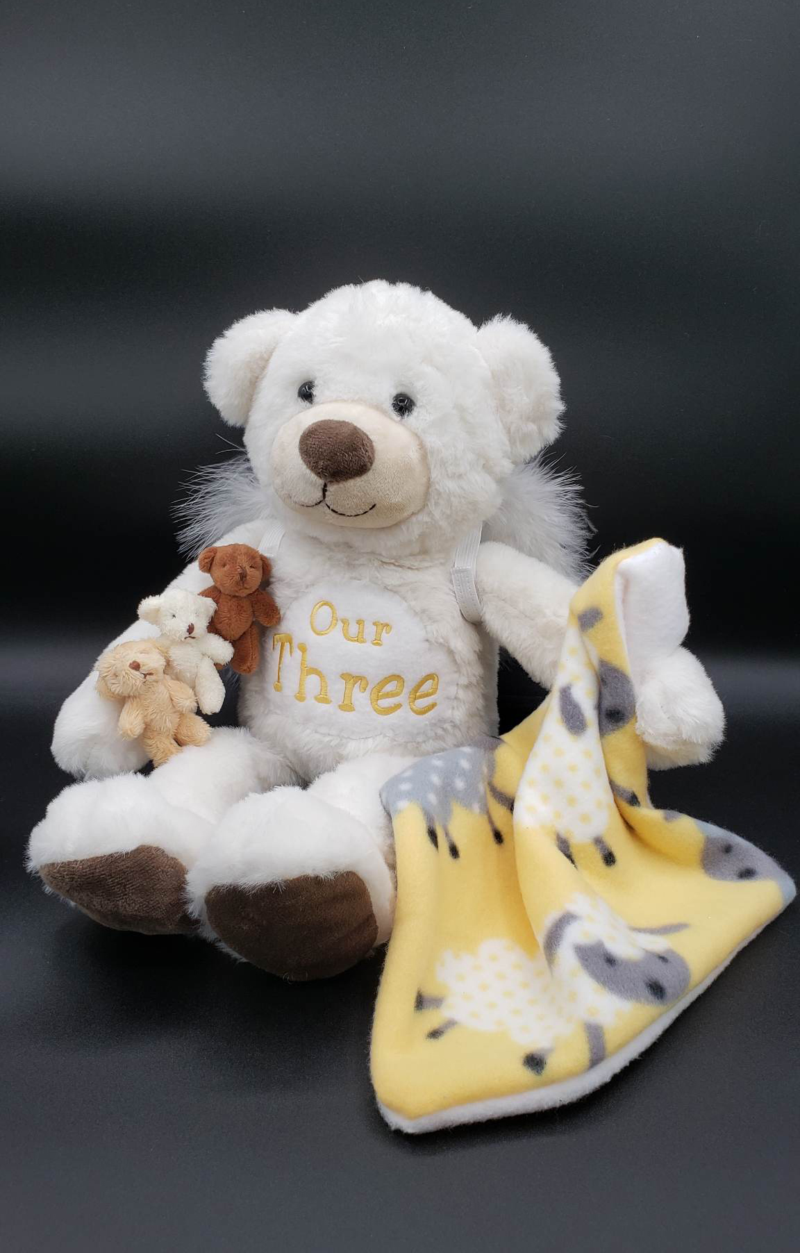 Our Bears Phoenix Bears