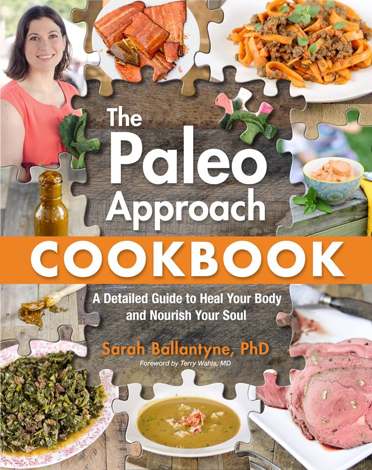 Paleo Approach Cookbook Review & Sample Recipe Paleo AIP BBQ Sauce