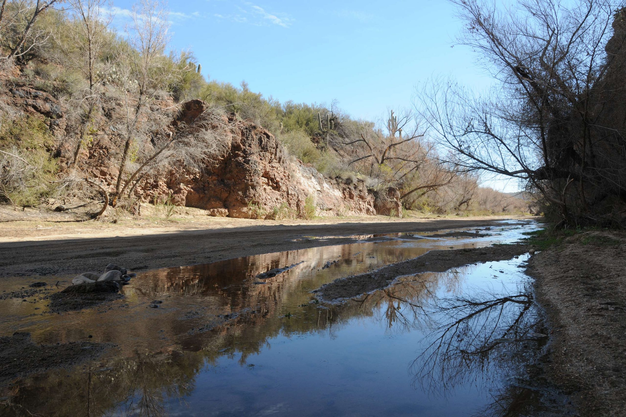 Hiking Box Canyon of the Hassayampa River in Wickenburg PHOENIX magazine