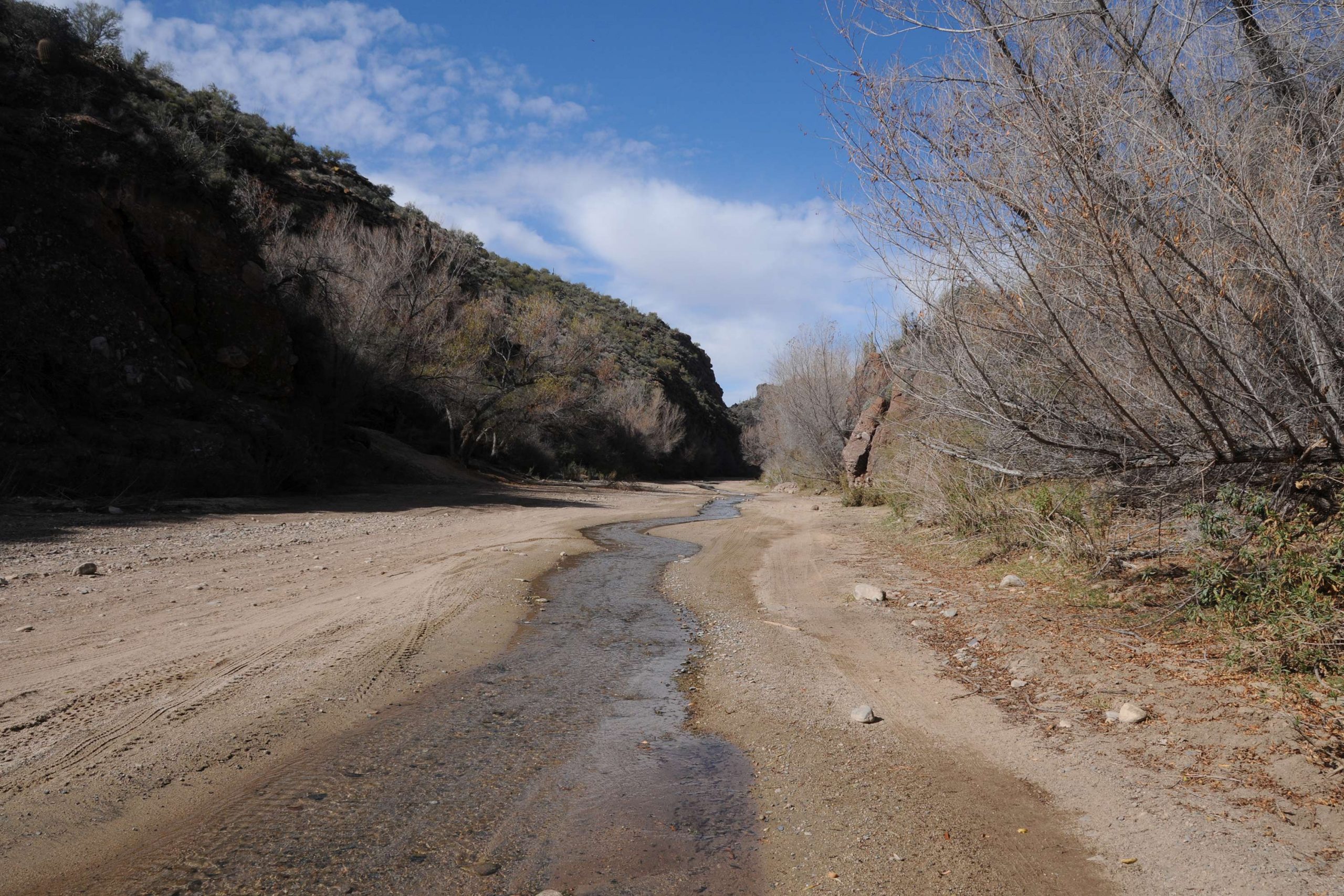 Hiking Box Canyon of the Hassayampa River in Wickenburg PHOENIX magazine