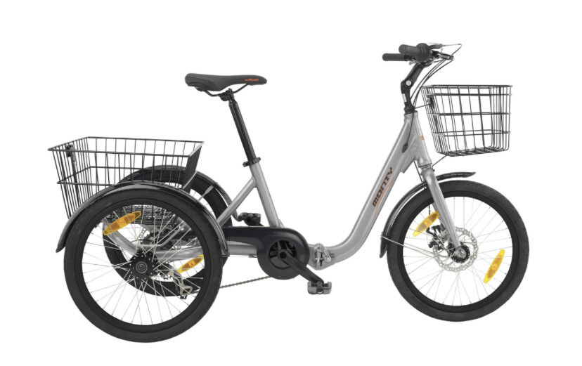 Tricycle Phoenix Park Bikes