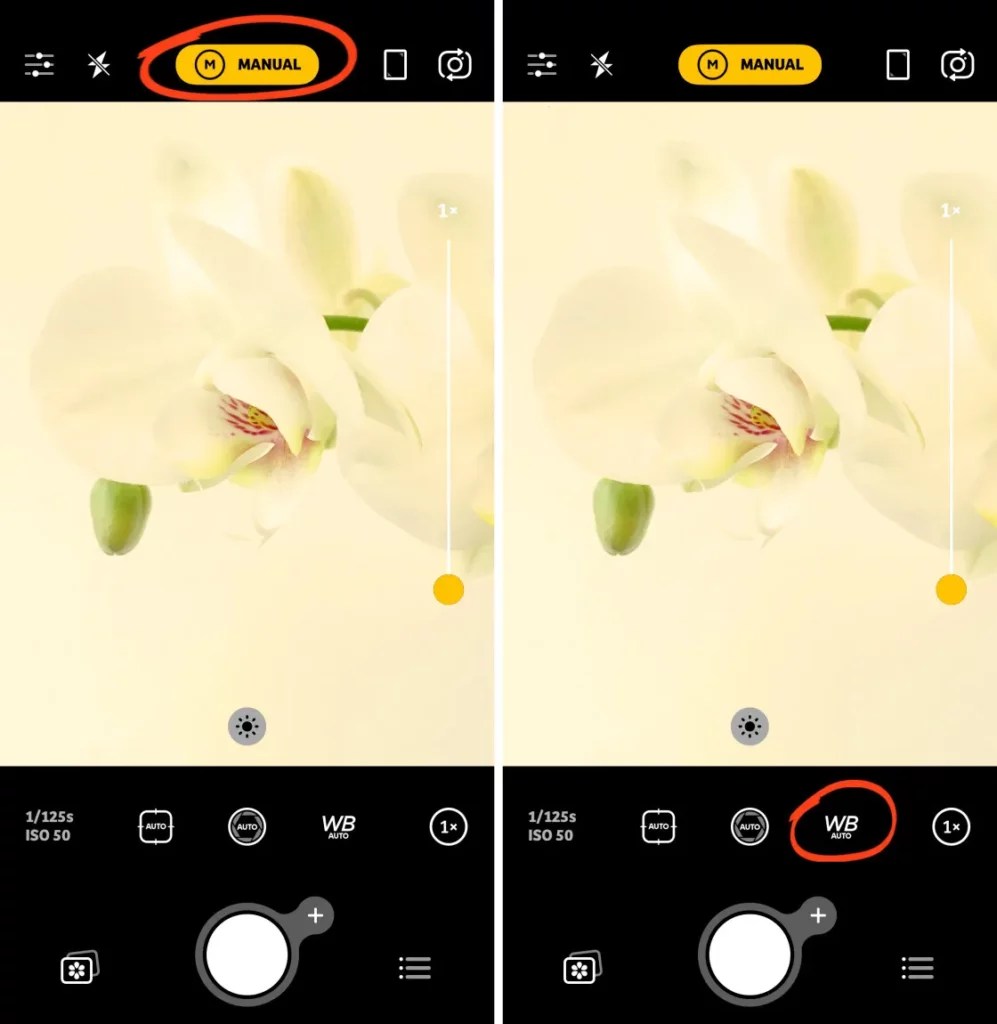 How to Change Shutter Speed on iPhone? Phone Guiding