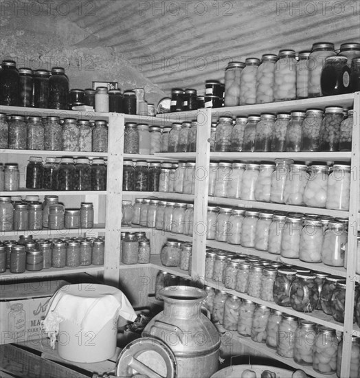 Interior of Mrs. Botner's storage cellar, Nyssa Heights, Malheur County, Oregon,. Photo12