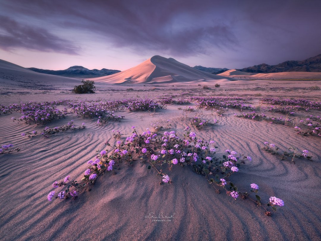 creative-applications-of-color-theory-in-landscape-photography-photo