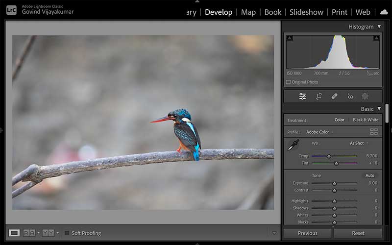 Easy Way to Find & Remove Dust Spots in Lightroom PhotographyAxis