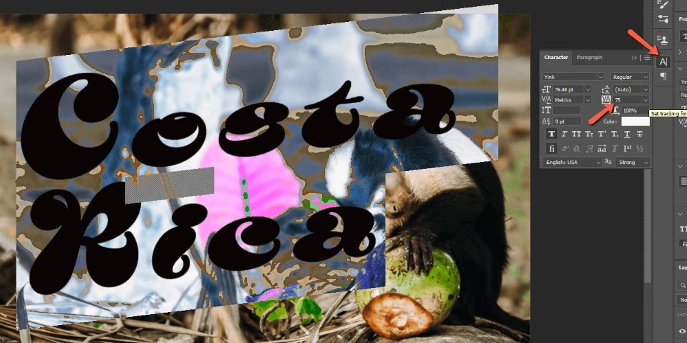 How to Make a Postcard in (6 Easy Steps)