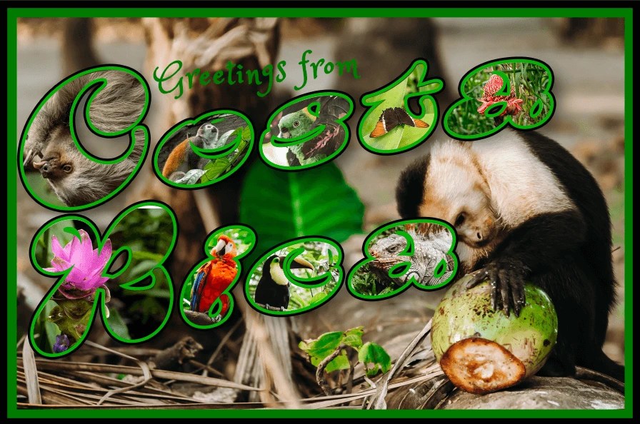 How to Make a Postcard in (6 Easy Steps)