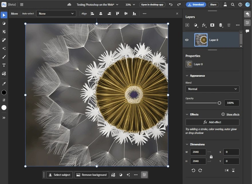 Can You Use on a Chromebook? (3 Solutions)