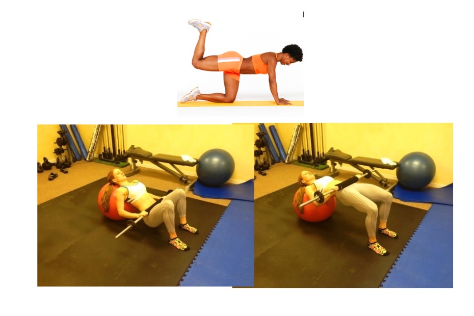Corrective Exercise Physical Excellence Coaching Gyms in Davie