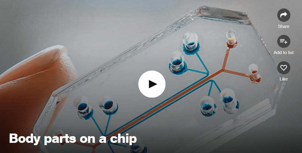 Body Parts on a Chip Physician's Weekly
