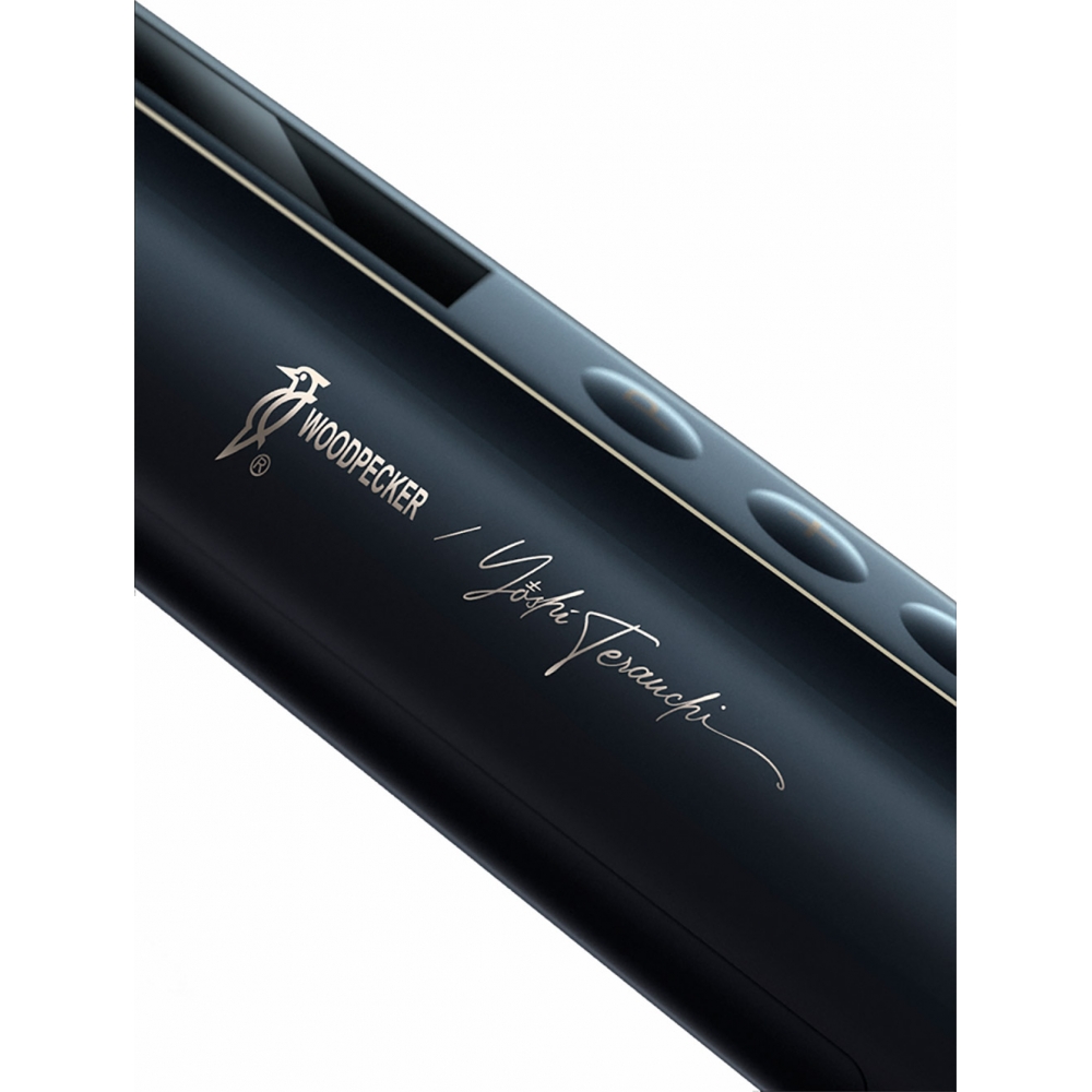 WoodPecker Model Ai Endo Motor GoldenDent