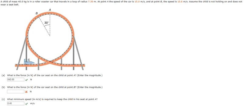 Roller Coaster Reading Answers: Solve the Latest Reading Test.