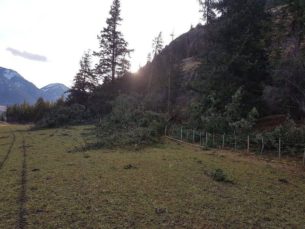 Max lifting capacity for an average human adult