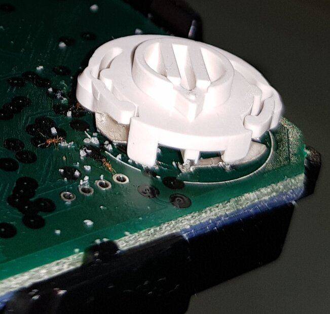 White stuff of ants colony inside electronics